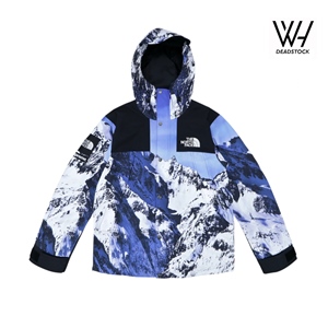 SUPREME X NORTHFACE MOUNTAIN PARKA