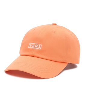 VANS MN LOGO CURVED CAP