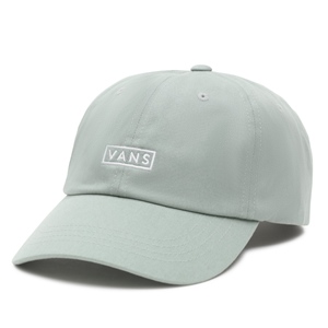 VANS MN LOGO CURVED CAP