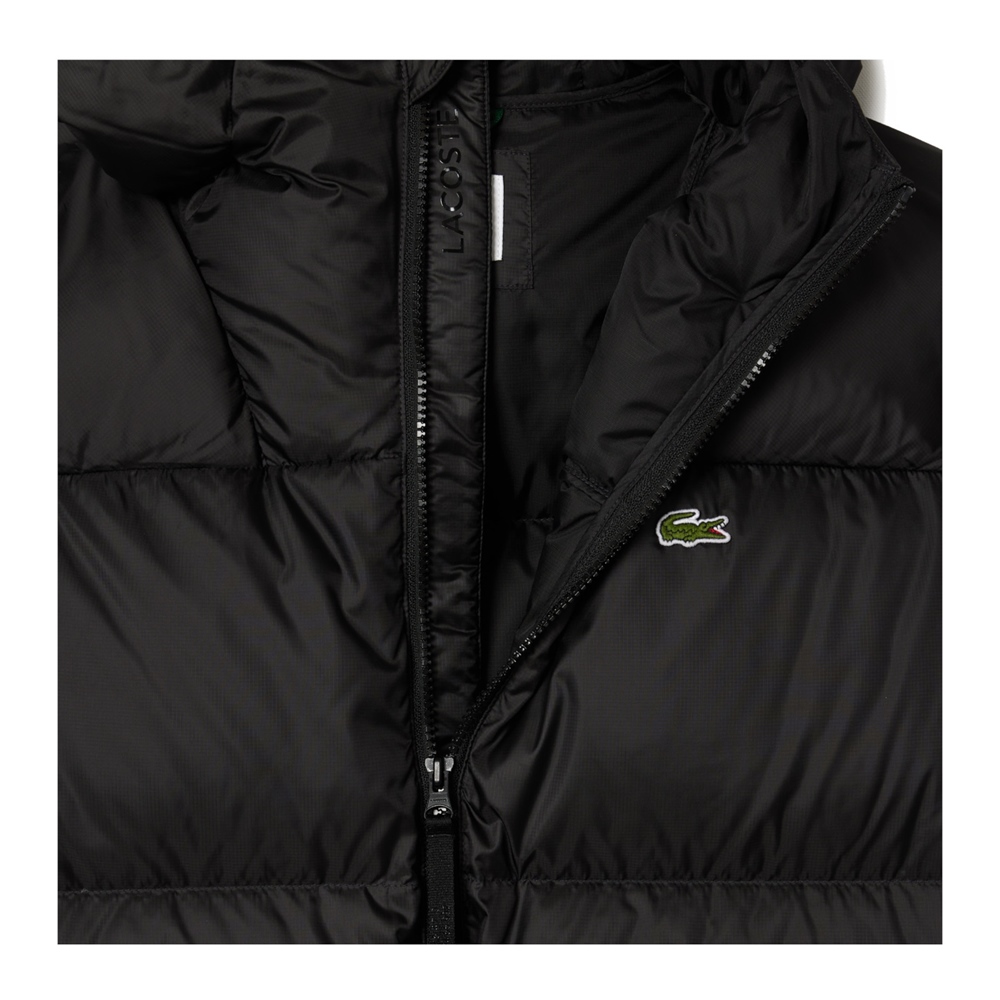 LACOSTE LOGO PUFFER JACKET Wearhouse Store