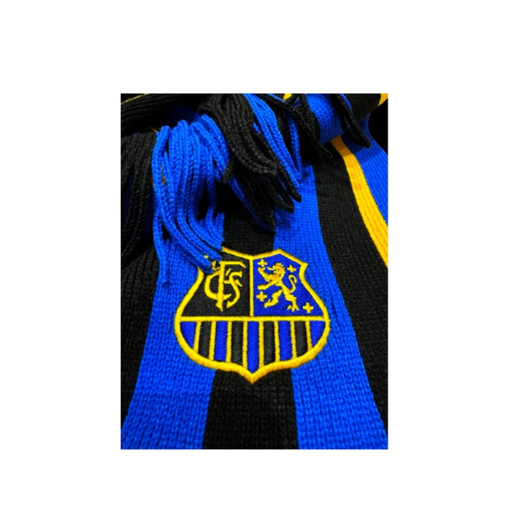 1.FC Saarbrücken - Club profile