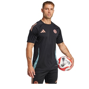 ADIDAS FC BAYERN MNCHEN TR JERSEY