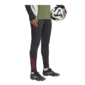 ADIDAS FC BAYERN MNCHEN TR PANT